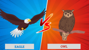 Read more about the article Aguila Vs Buho (principales diferencias)