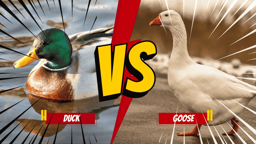Pato vs Ganso
