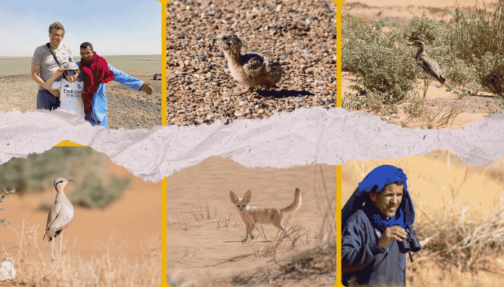 3 Days Birdwatching Merzouga